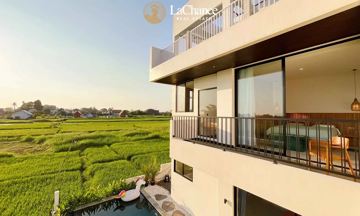 Ocean & Rice Field Views